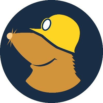 Mullvad logo